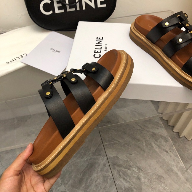 CEL Slides