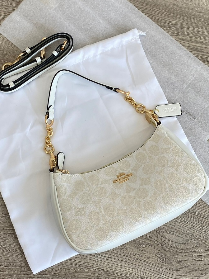 Coach Hobo Bag