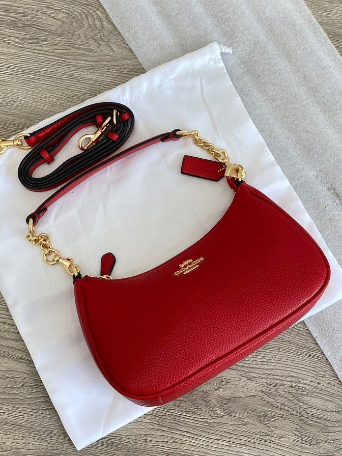 Coach Hobo Bag