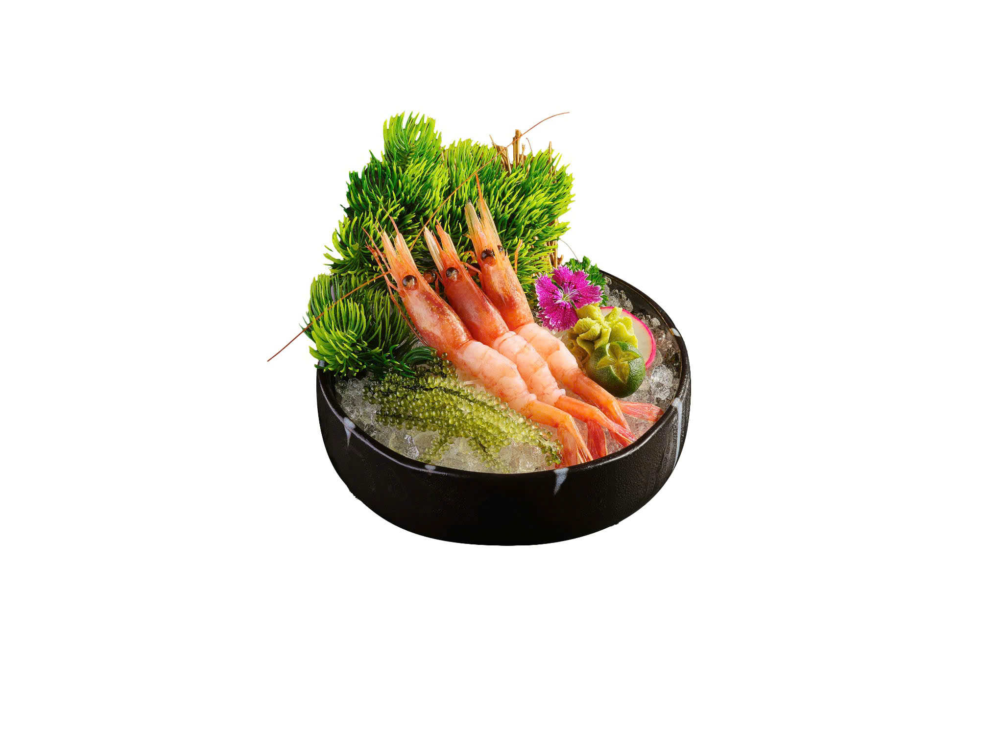 Sashimi Tôm Ngọt- Nhìn là muốn cắn yêu 1 phát lun á chớ
