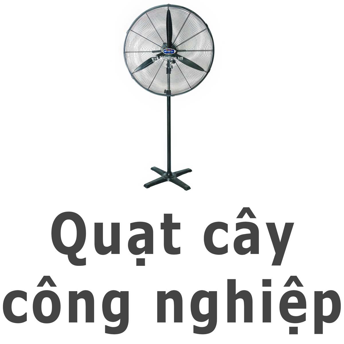 Quạt cây công nghiệp