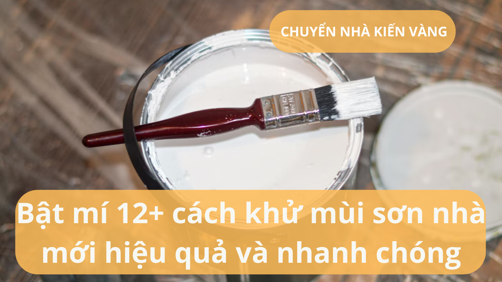 Bật mí 12+ cách khử mùi sơn nhà mới hiệu quả và nhanh chóng