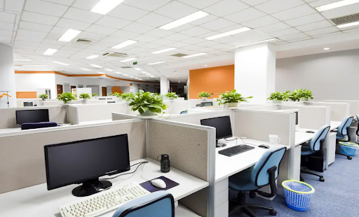 Cách bố trí phòng làm việc tập thể hiệu quả là sử dụng cây xanh