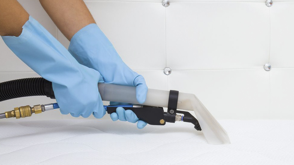 Cách làm sạch sâu nệm của bạn một cách nhanh chóng và dễ dàng