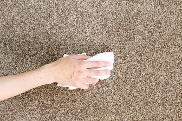 Hướng dẫn cách làm sạch thảm 11