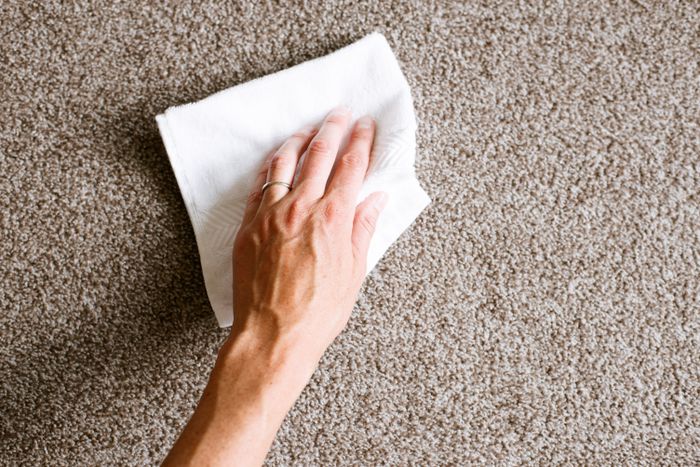 Hướng dẫn cách làm sạch thảm 2