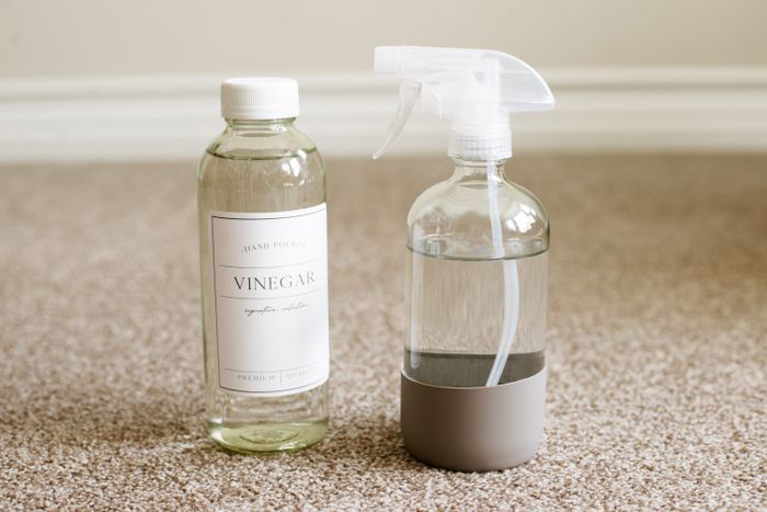 Hướng dẫn cách làm sạch thảm 4