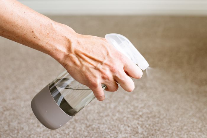 Hướng dẫn cách làm sạch thảm 5