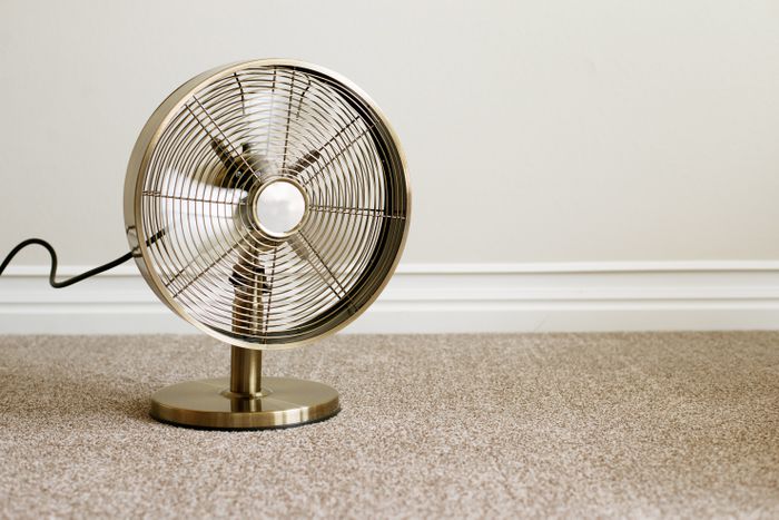 Hướng dẫn cách làm sạch thảm 6