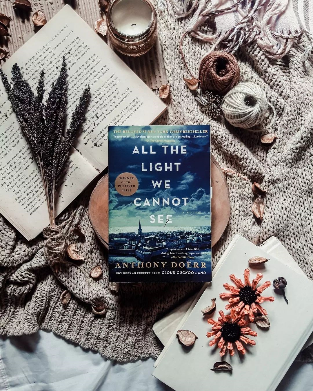 All the light we cannot see