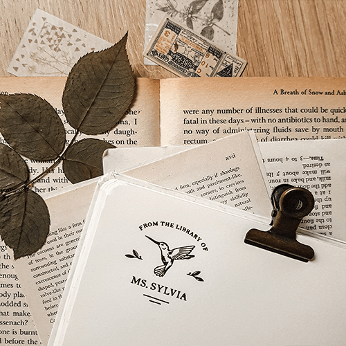 The Goods Shelf Hanoi - Thành viên mới nhất trong gia đình Kệ Sách