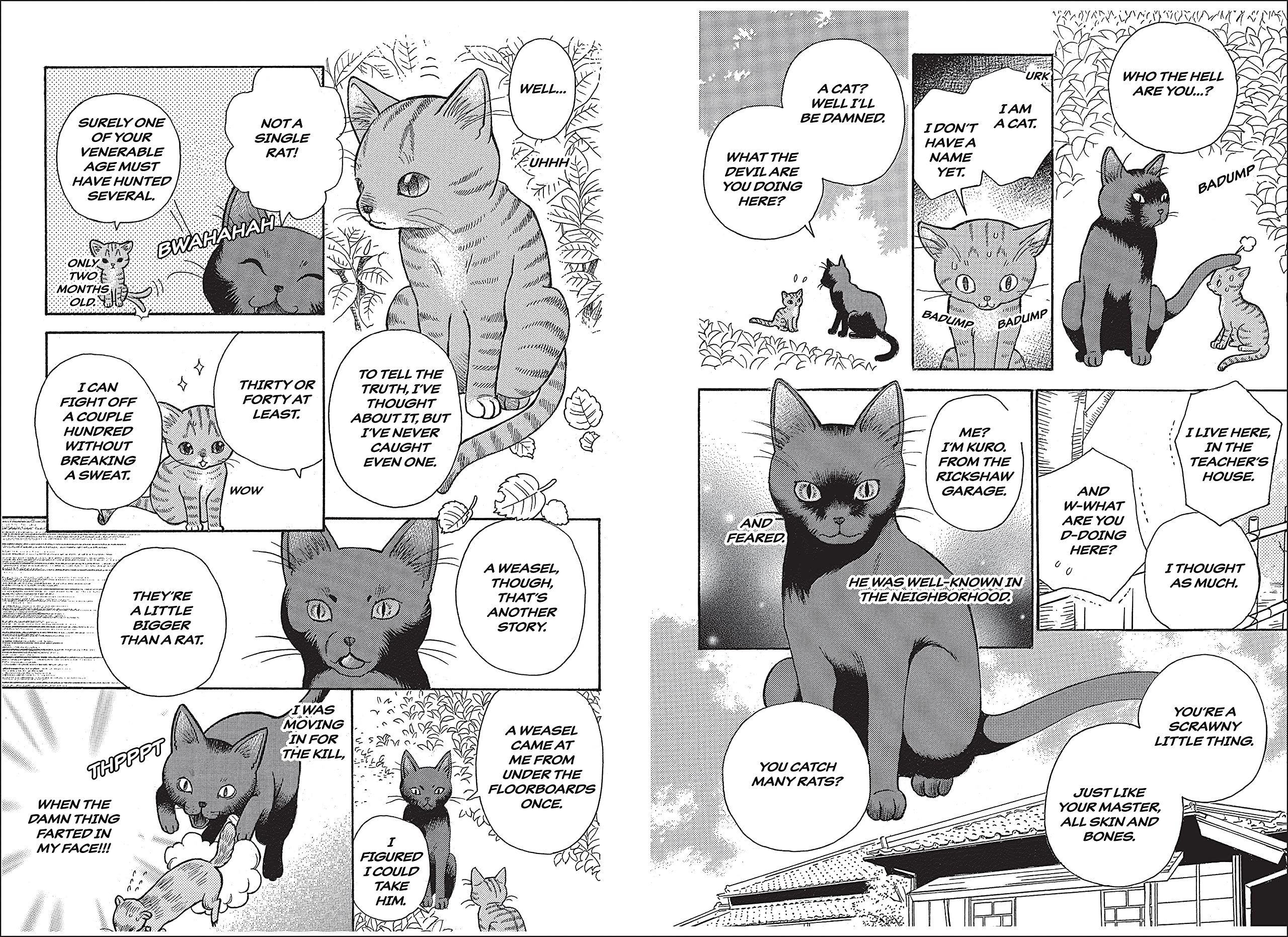 Soseki Natsume's I Am A Cat Soseki Natsume's I Am A Cat