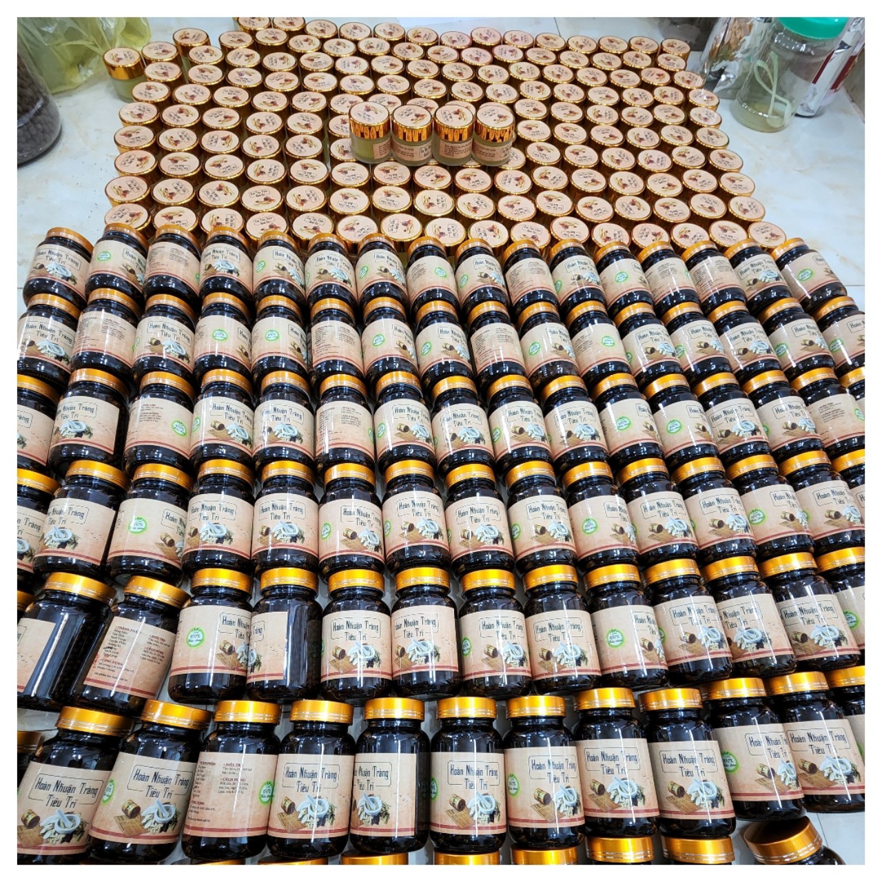 HOÀN NHUẬN TRÀNG - TIÊU TRĨ (100% THẢO DƯỢC)