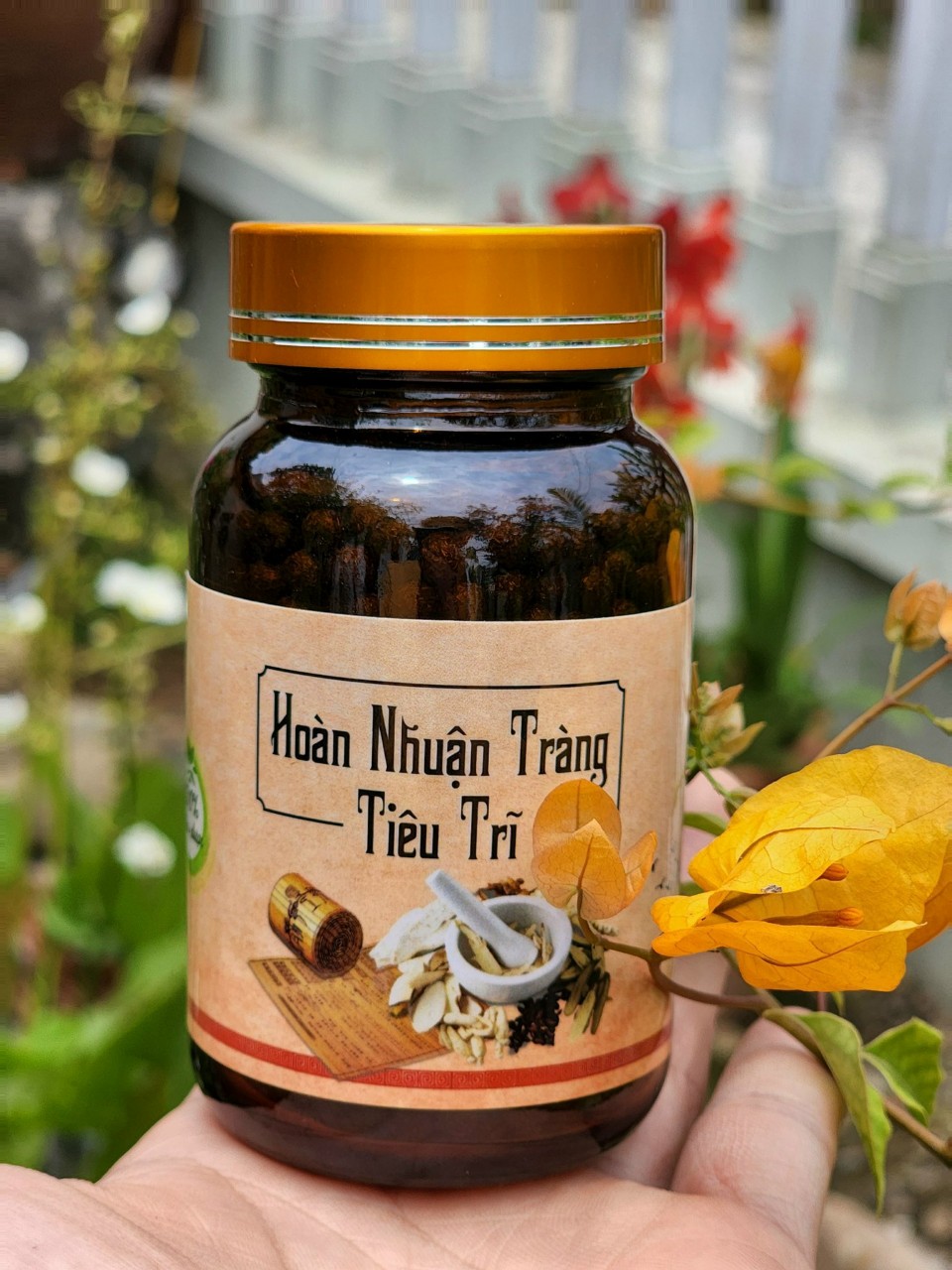 HOÀN NHUẬN TRÀNG - TIÊU TRĨ (100% THẢO DƯỢC)