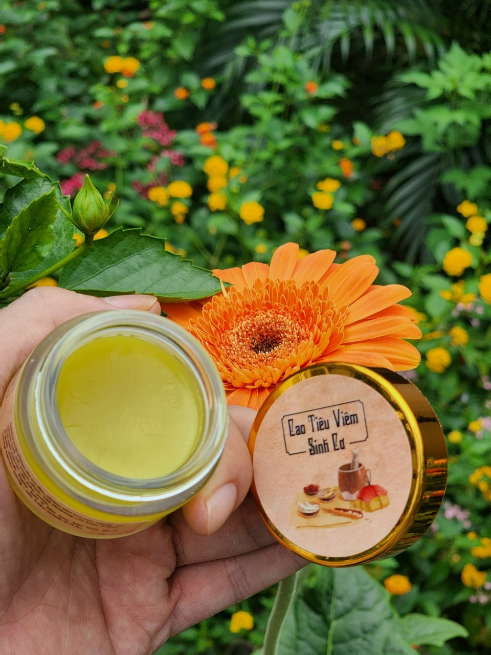 CAO TIÊU VIÊM - SINH CƠ ( HIỆU QUẢ VỚI BỆNH TRĨ )
