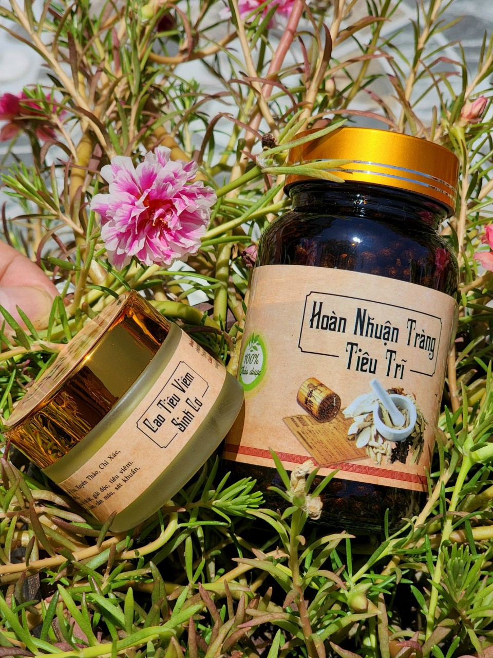 CAO TIÊU VIÊM - SINH CƠ ( HIỆU QUẢ VỚI BỆNH TRĨ )