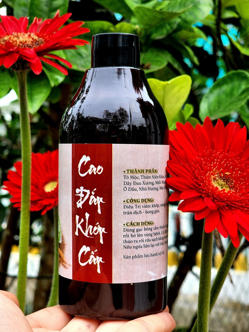 CAO ĐẮP XƯƠNG KHỚP CẤP TÍNH ( VIÊM, SƯNG, TRÀN DỊCH KHỚP)