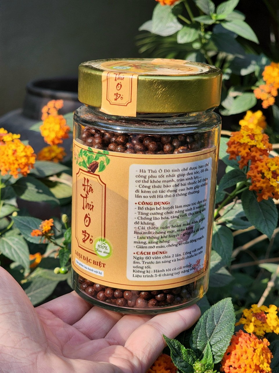 HÀ THỦ Ô ĐỎ - Tinh chế Đặc biệt
