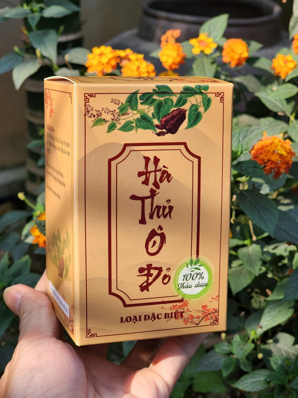 HÀ THỦ Ô ĐỎ - Tinh chế Đặc biệt