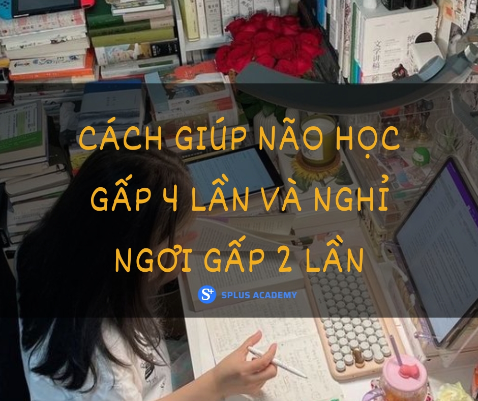 CÁCH GIÚP NÃO HỌC GẤP 4 LẦN VÀ NGHỈ NGƠI GẤP 2 LẦN BÌNH THƯỜNG