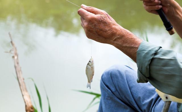 8 Cách Để Ngăn Cá Con Vào Ổ
