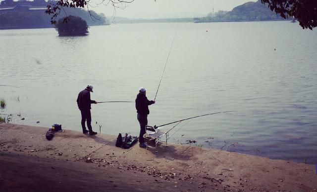 Chia Sẻ Bài Mồi Câu Cá Trôi Hiệu Quả Và Kinh Nghiệm Câu Cá Trôi