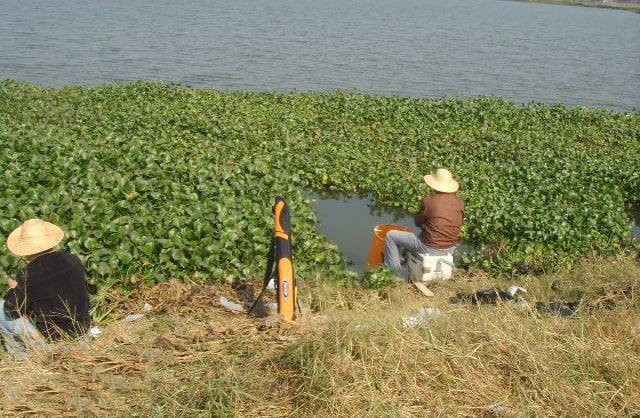 Cách Chọn Vị Trí Câu Cơ Bản