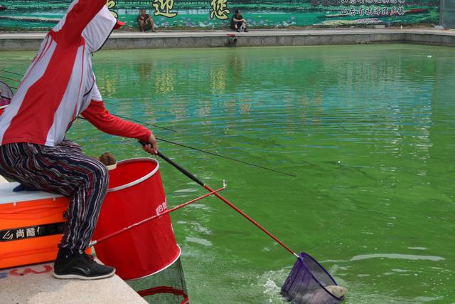 CÁCH SỬ DỤNG MỒI CÂU DẠNG HẠT VÀ MỒI CÂU DẠNG BỘT