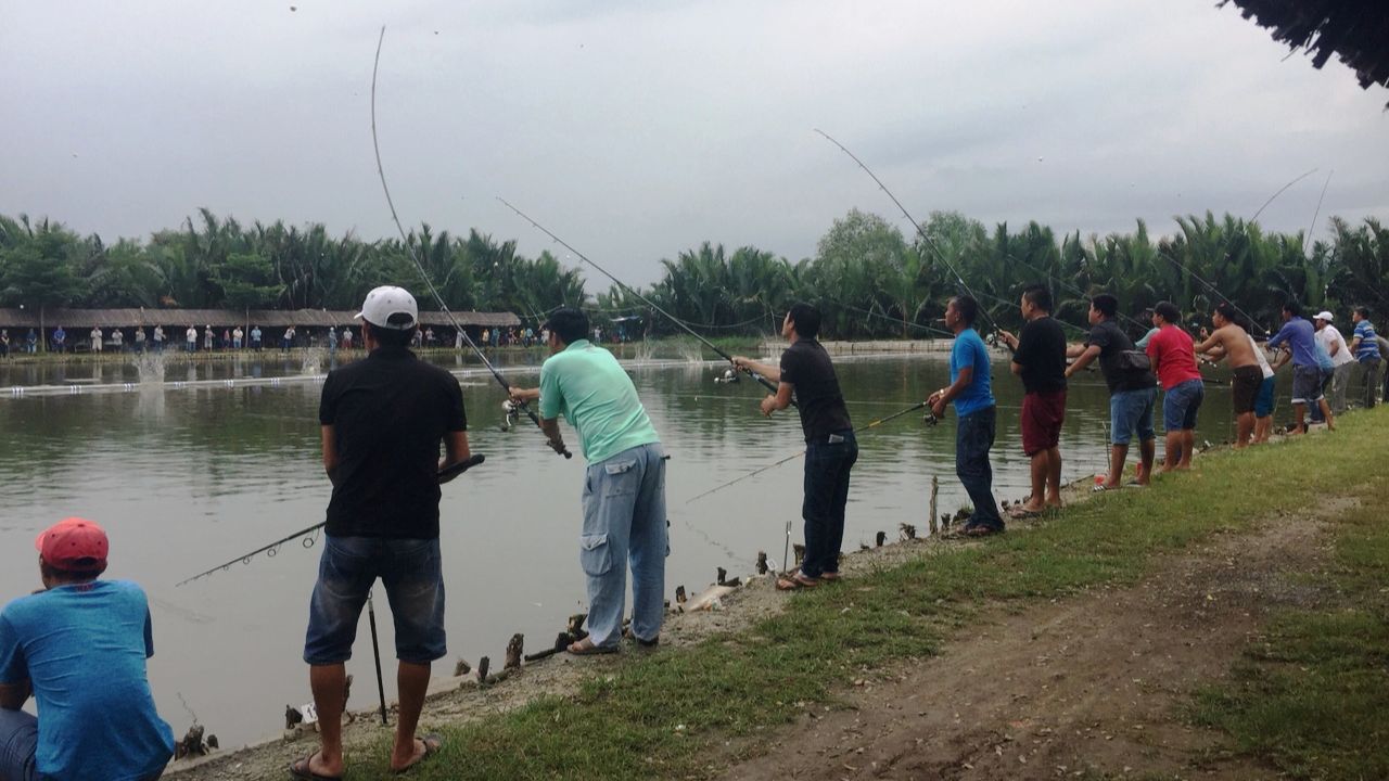 Chia Sẻ Kinh Nghiệm - Một Số Vấn Đề Thường Gặp Khi Câu Hồ Dịch Vụ