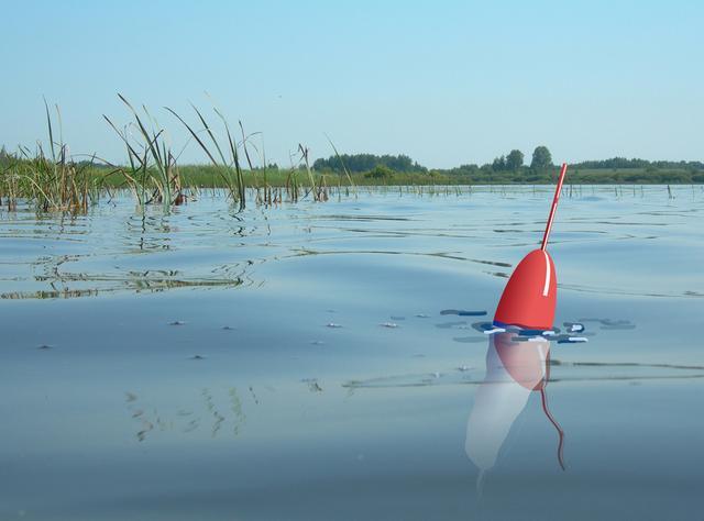 Nguyên Nhân Phao Bị Lắc Và Cách Xử Lý