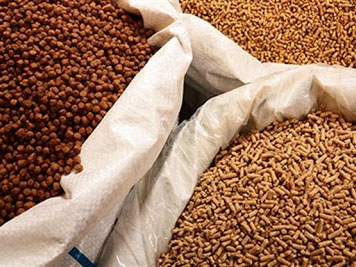 MỘT SỐ THỨC ĂN CƠ BẢN CỦA CÁC LOẠI CÁ NƯỚC NGỌT THÔNG THƯỜNG