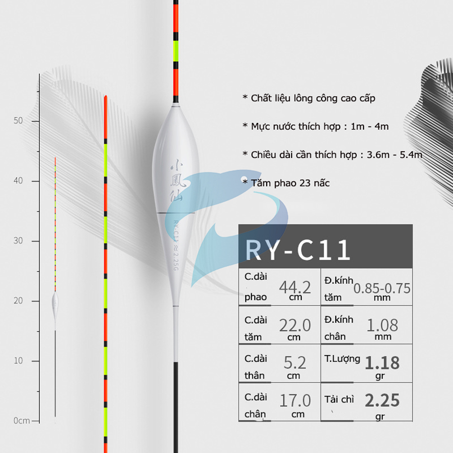 Phao Lông Công Câu Cá Nhát Tiểu Phượng Hoàng RY-C