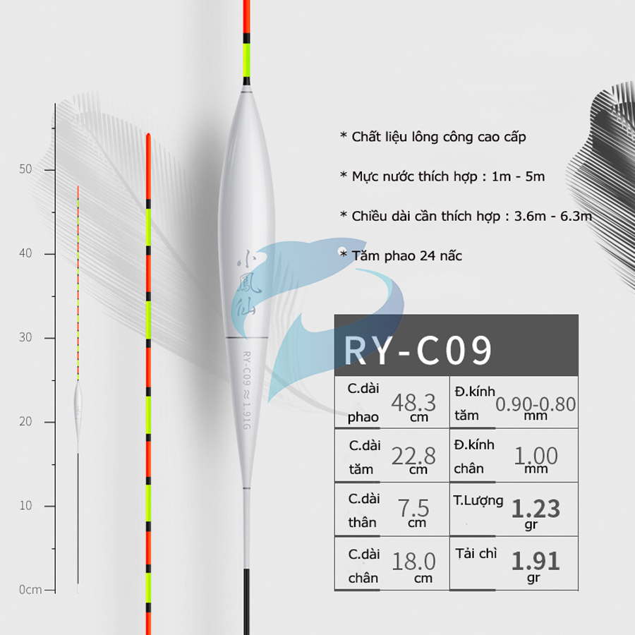 Phao Lông Công Câu Cá Nhát Tiểu Phượng Hoàng RY-C