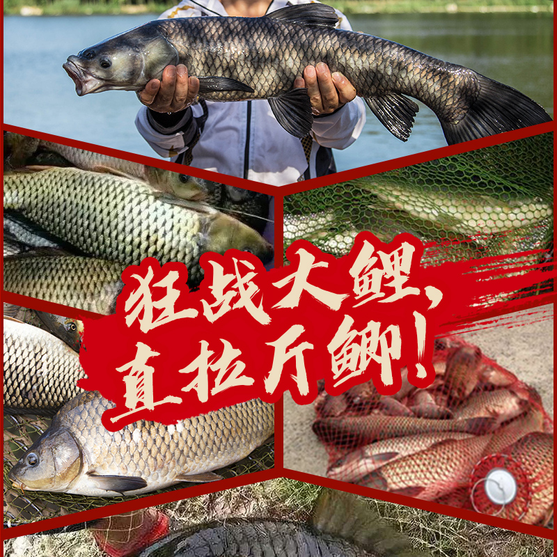 Cần Câu Tay, Cần Câu Đài Carbon MC Vinh Diệu