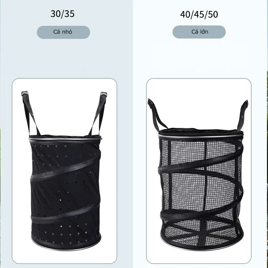 Rọng Đựng Cá, Rọng Bảo Vệ Cá Xoắn Ốc Lão Ngư