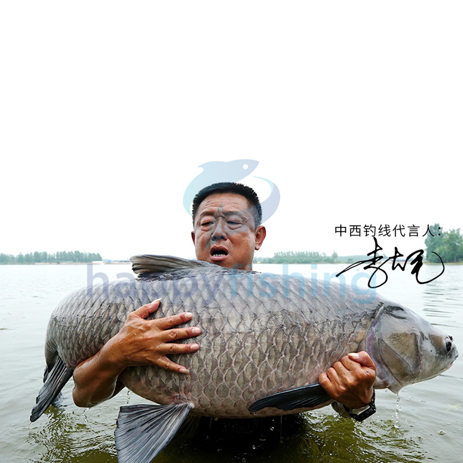 Dây Câu Cá, Trục Thẻo Câu Đài ZHONGXI Điệp Ảnh