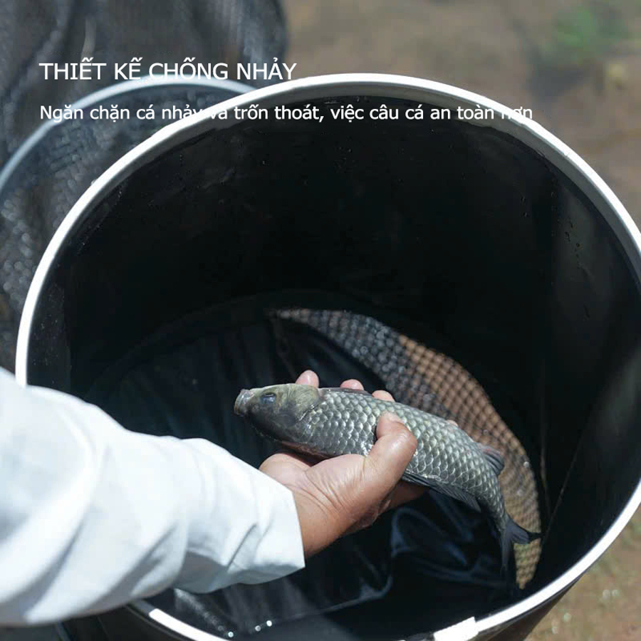 Rọng Đựng Cá, Rọng Bảo Vệ Cá Xoắn Ốc Lão Ngư