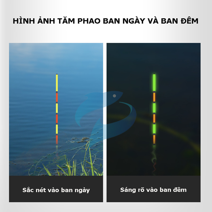Phao Câu Đài Ngày Đêm Đổi Màu Tiểu Phượng Hoàng R5-DP