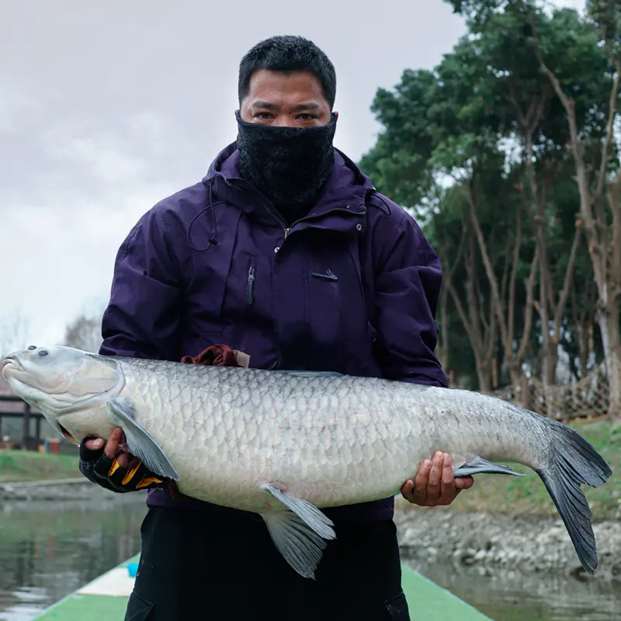 Cần Câu Đài Săn Hàng Lão Ngư Định Thuỷ Tông
