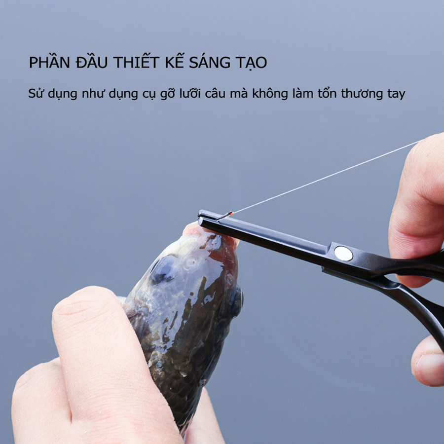 Kéo Câu Cá Lão Ngư