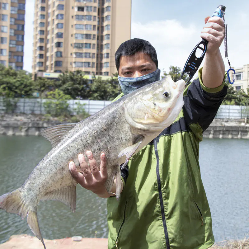 Cần Câu Đài Lão Ngư Định Thủy