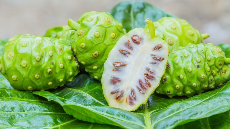 3 bước đơn giản để pha một ly trà nhàu thơm ngon