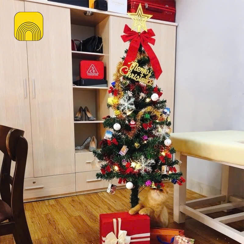 Cây thông Noel đầy đủ phụ kiện trang trí 1m6 