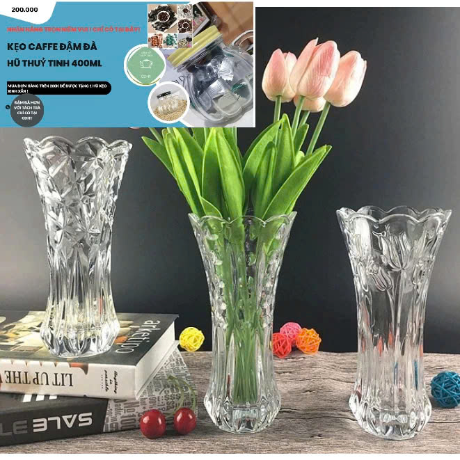 Lọ hoa thuỷ tinh dáng trụ vát cao sang trọng 25cm