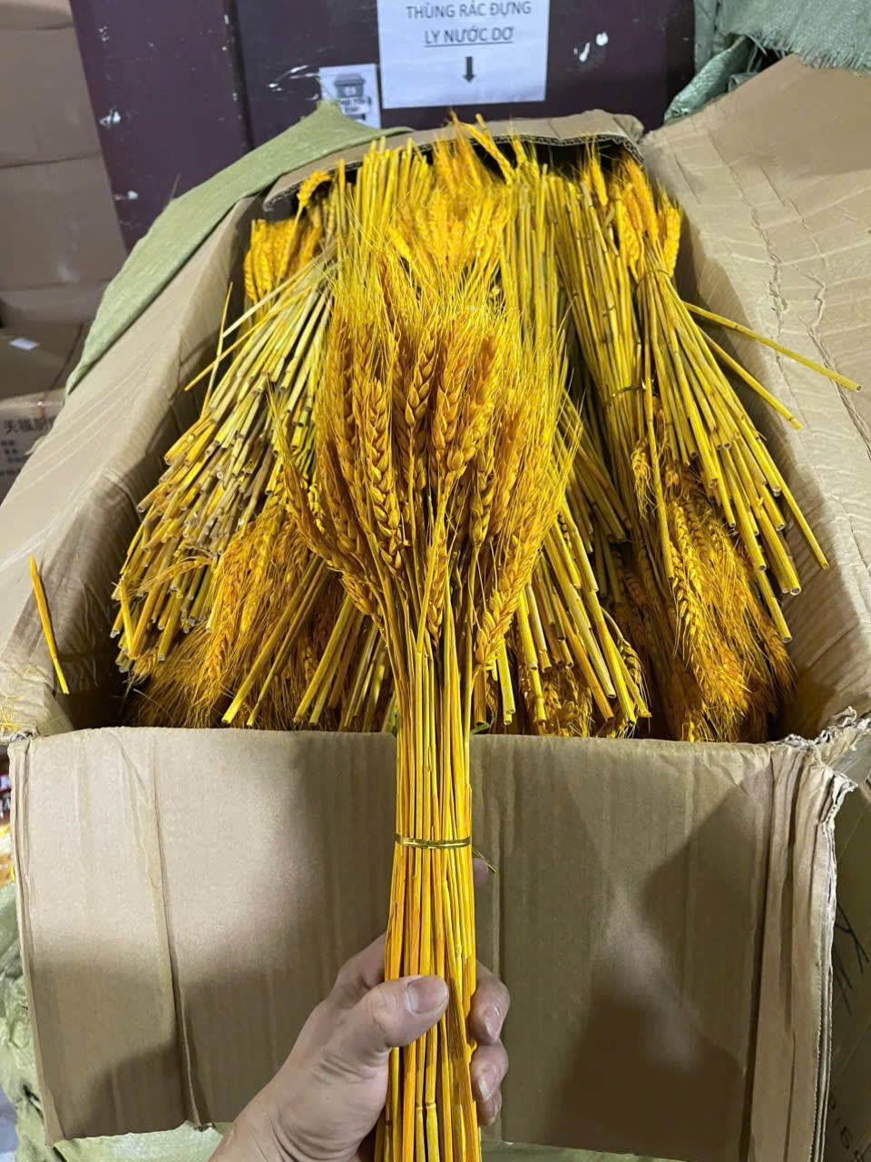 Bó bông lúa tài lộc trang trí nhà cửa