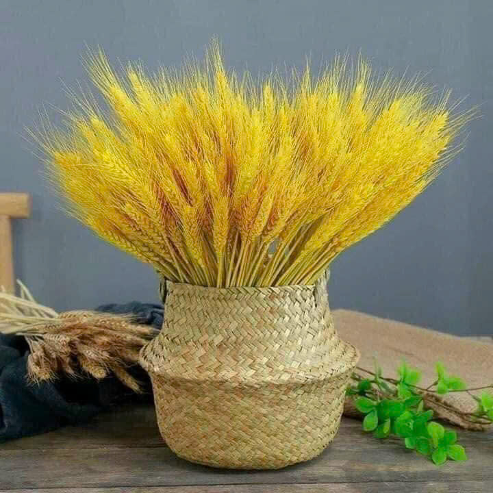 Bó bông lúa tài lộc trang trí nhà cửa