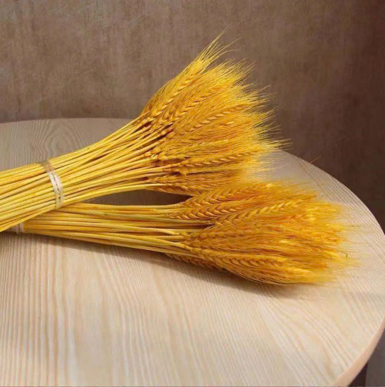 Bó bông lúa tài lộc trang trí nhà cửa