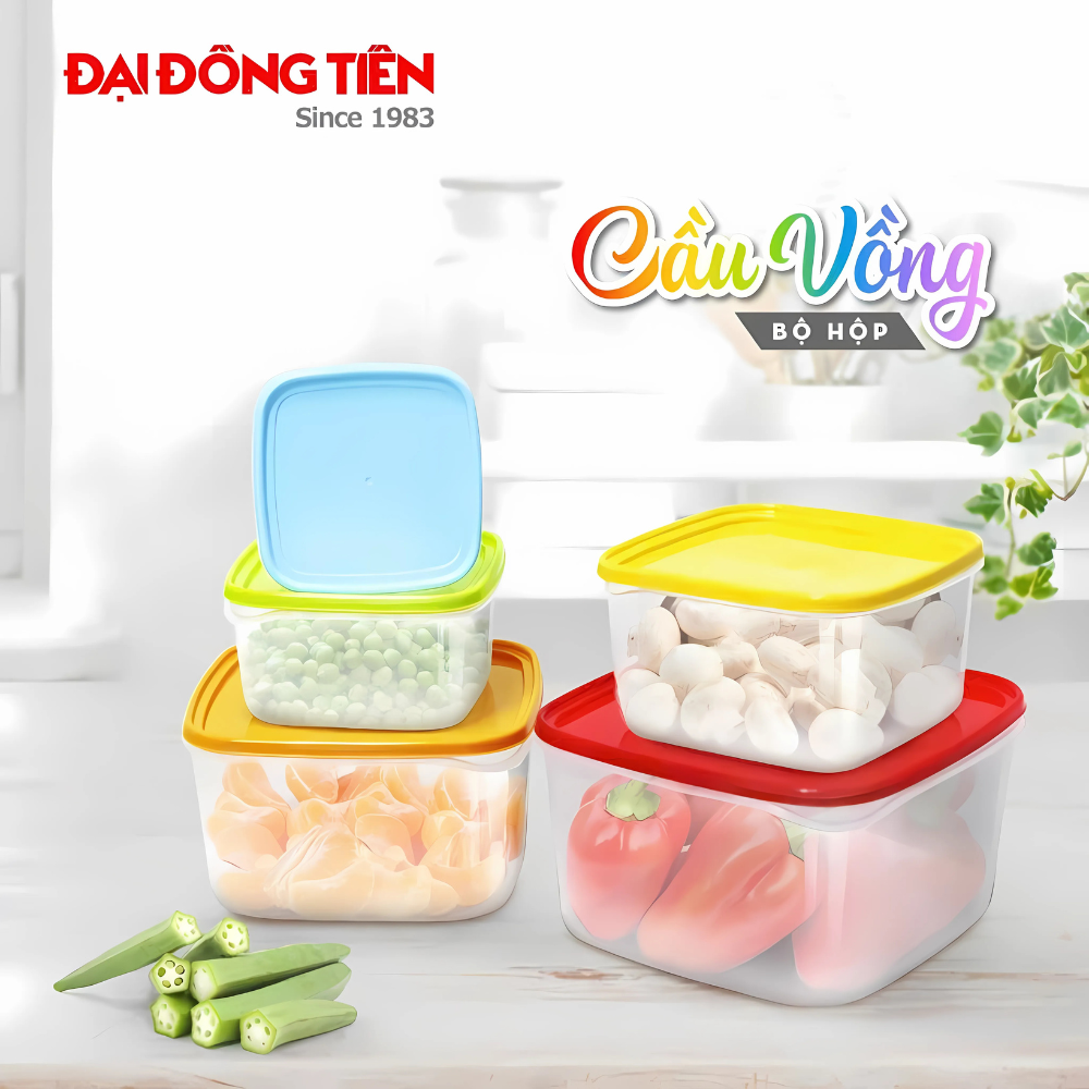 Bộ 5 Hộp Nhựa Cầu Vồng Đựng Thực Phẩm L1651 Đại Đồng Tiến