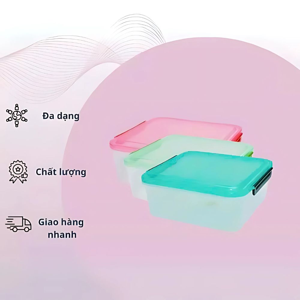 Hộp quai vuông trung TLT
