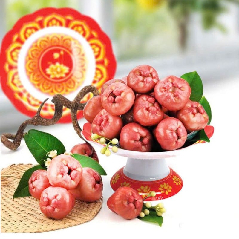 Bộ đĩa chưng cúng trái cây bàn thờ nhựa cao cấp AP10AB